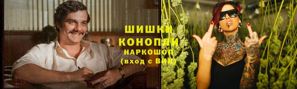 гидра Алзамай