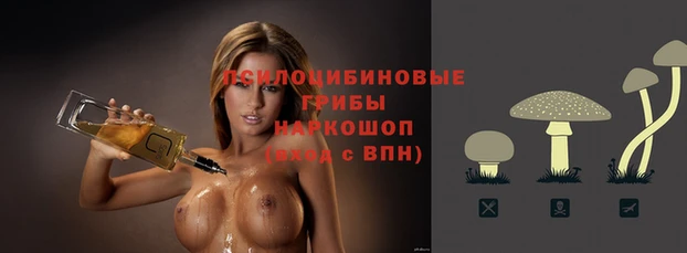 гидра Алзамай